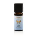 Farfalla Litsea Cubeba bio ätherisches Öl 10 ml